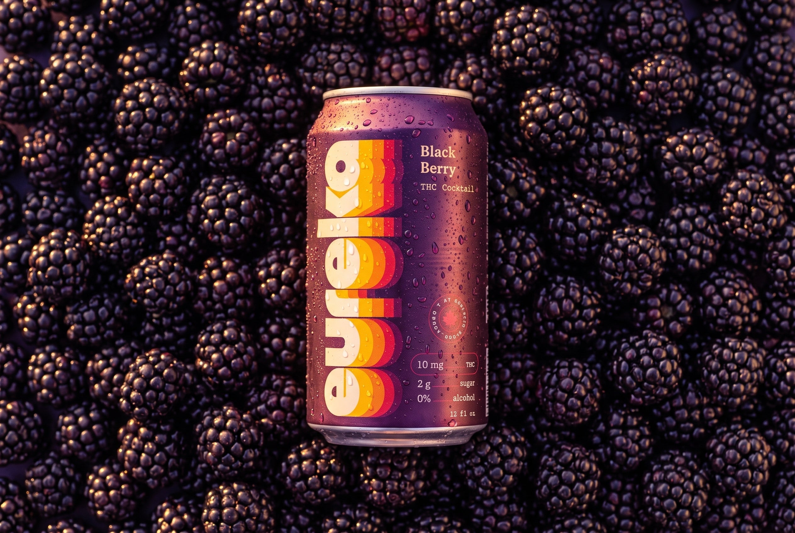 Dark Fruits and Twilight: The Deeper Sensory Design Behind 10mg Blackberry