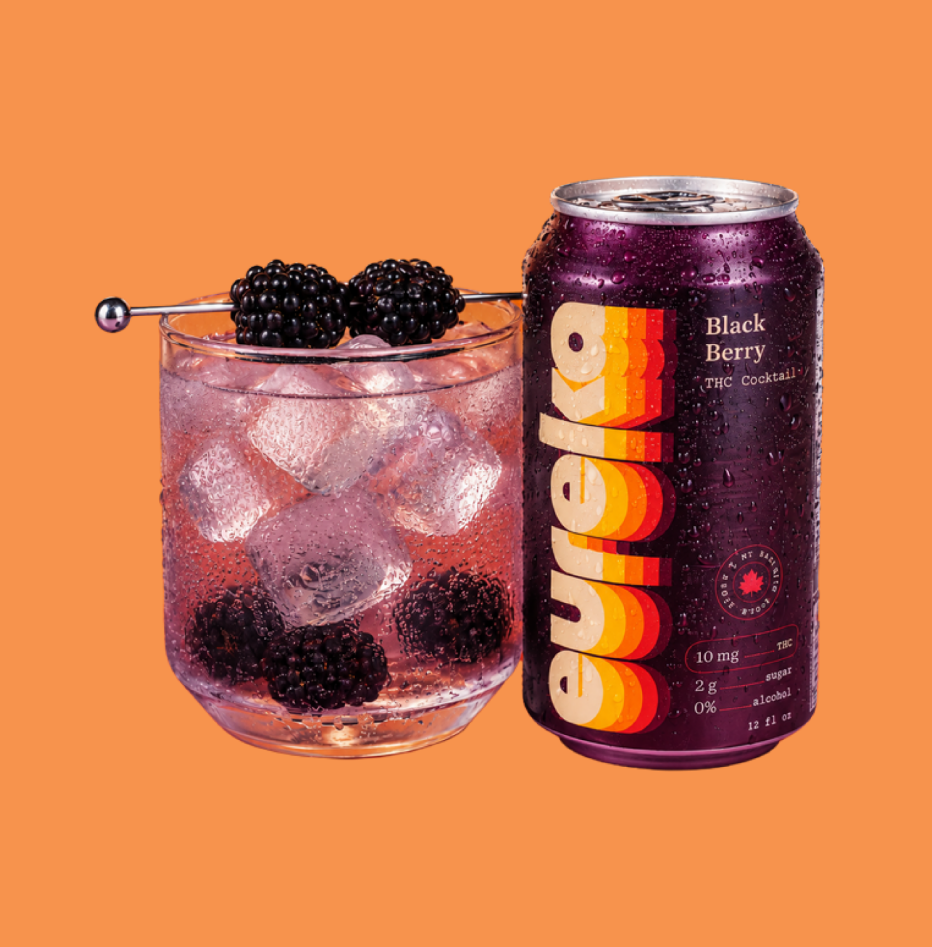 Black Berry 10mg THC Cocktail 4-pk